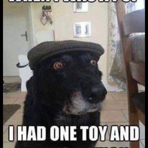 Meet your Posher, Diane